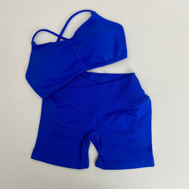 Women's High Stretch Gym Sport - đánh giá và giá Aquatic Sports Bra