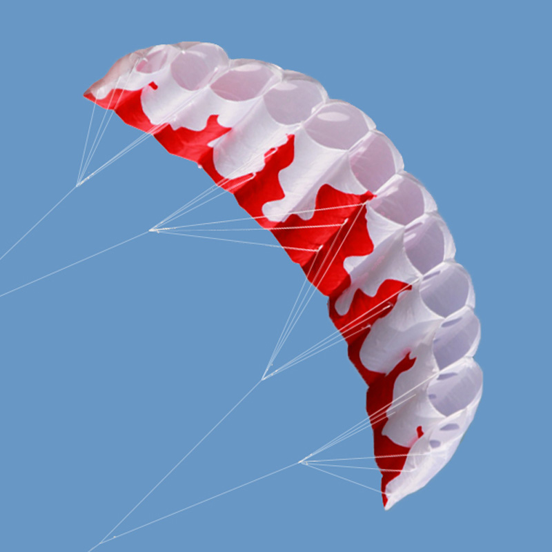 Mới Chất Lượng Cao 2M Ngọn Lửa - đánh giá và giá Kite Surf Bar Control